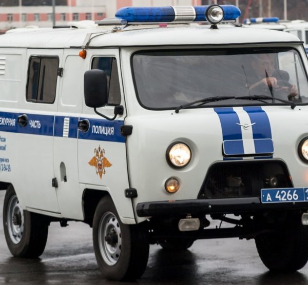 УАЗ 452 полиция