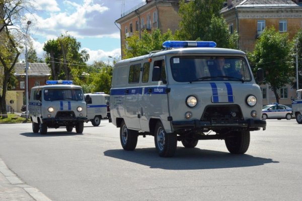 УАЗ 3909 полиция ППС