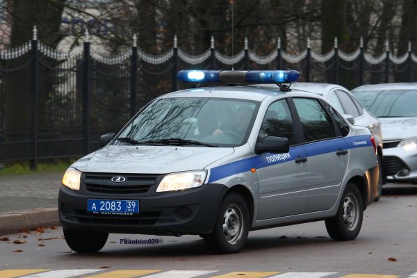 Лада Гранта полиция
