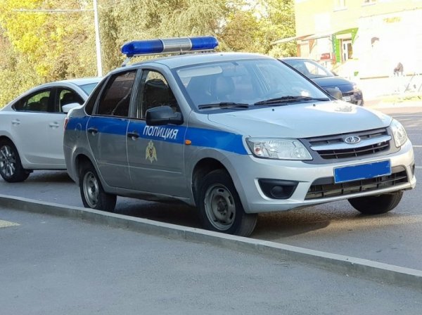 Лада Гранта полиция ППС