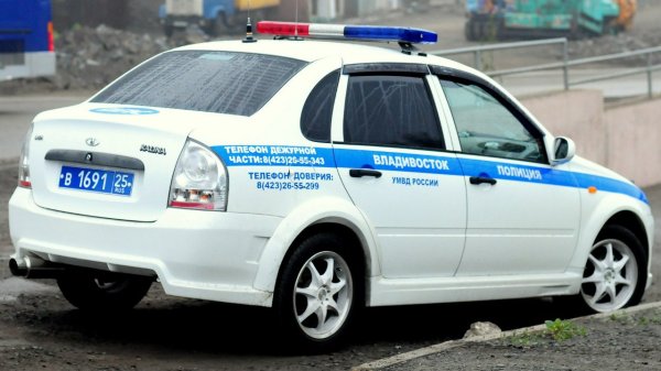 Лада Калина 1118 полиция