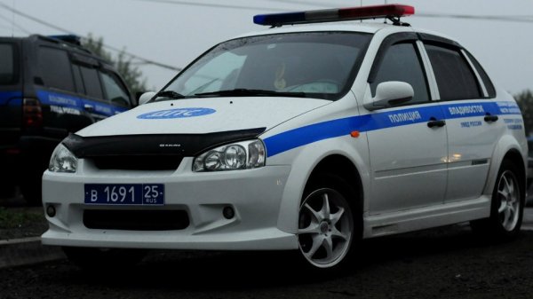 Лада Калина 1118 полиция