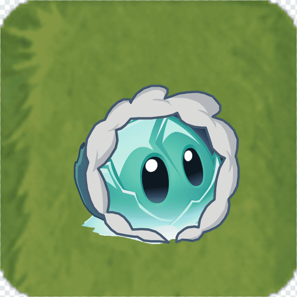 Iceberg lettuce PVZ 2