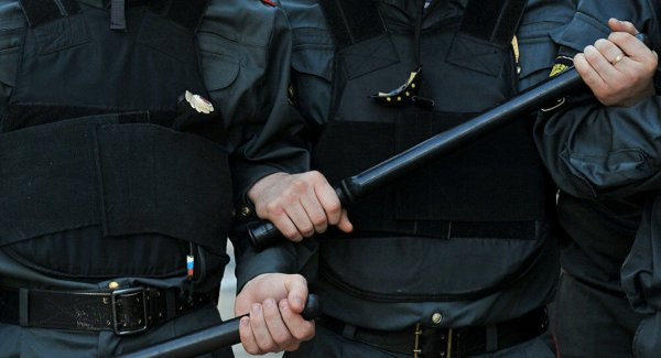 Полиция с дубинками