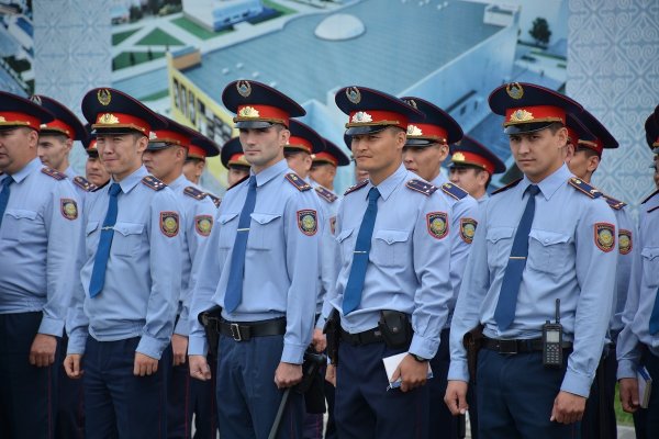 Профессия полиция