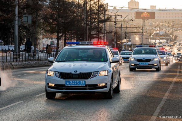 Skoda Octavia a7 ДПС