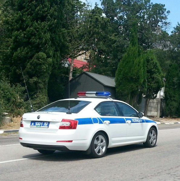 Skoda Octavia полиция