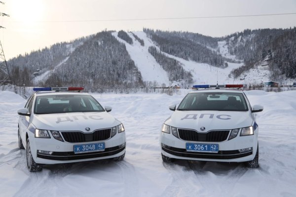 Skoda Octavia RS ДПС
