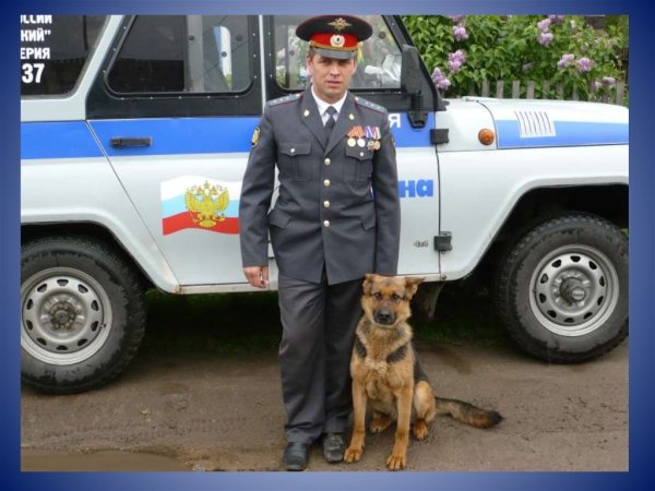 Профессия полиция