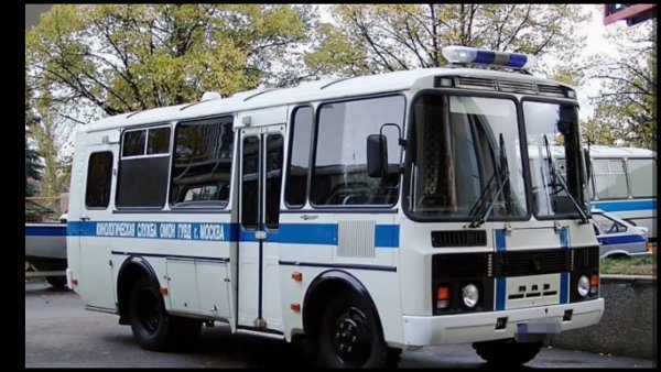 ПАЗ 3205 полиция
