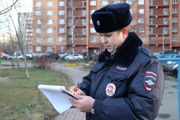 Участковый полицейский