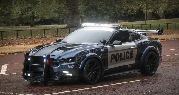 Ford Mustang 2016 Police