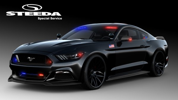Ford Mustang 2015 Police