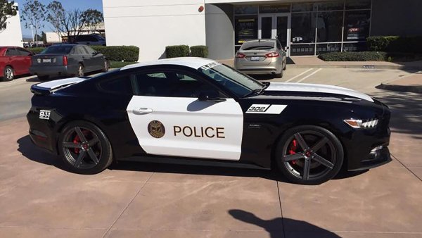 Форд Мустанг gt 2020 Police