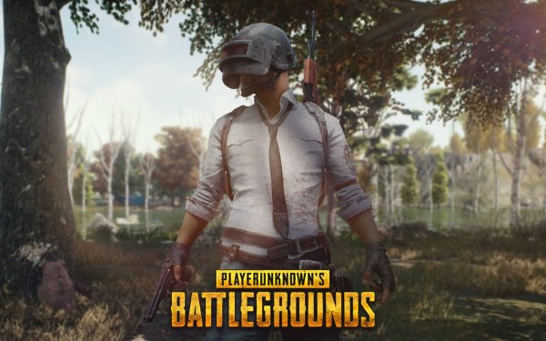 PUBG обои