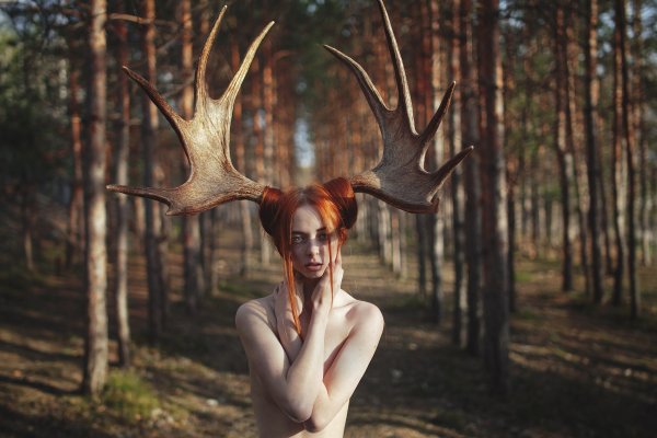 Максим Густарев фотограф