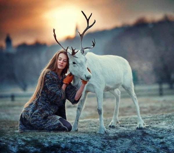 Фотосессия с оленем