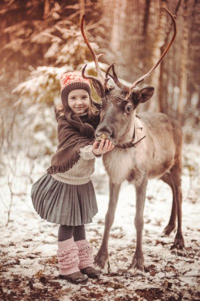 Фотосессия с оленем