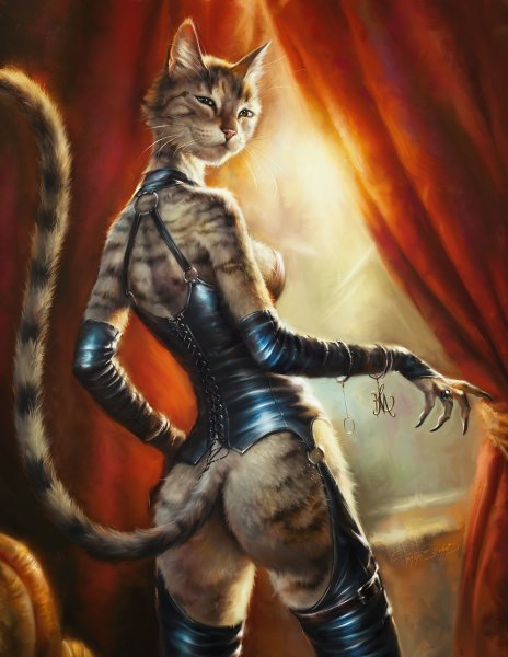 Коты Эльдара Закирова