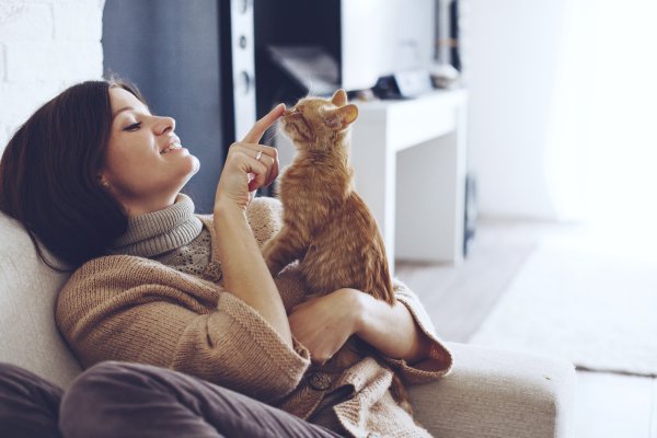 Девушка с котом
