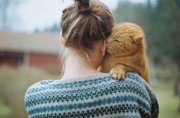 Девушка с котом