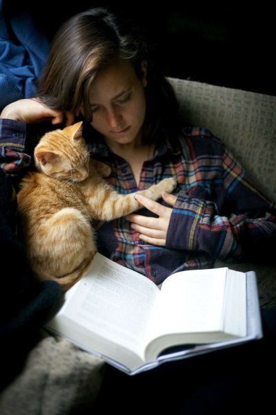 Кошка с книжкой