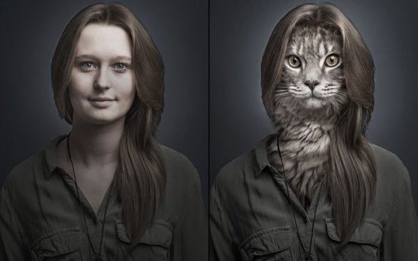 Человек с кошачьей головой
