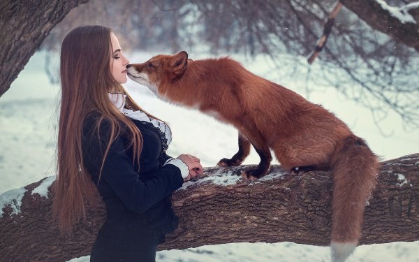 Девушка и лиса