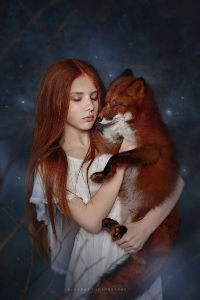 Алена лисица