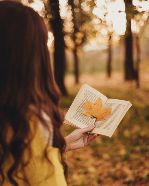 Девушка с книгой