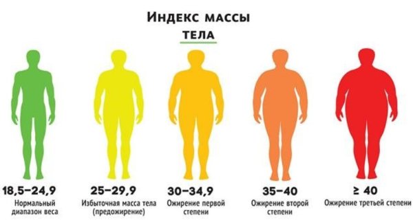 Степени ожирения по проценту жира