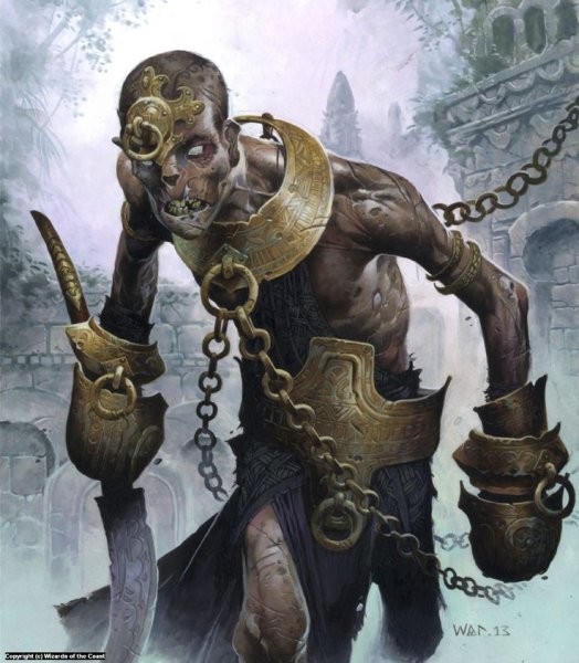 Wayne Reynolds MTG