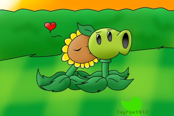 PVZ Peashooter