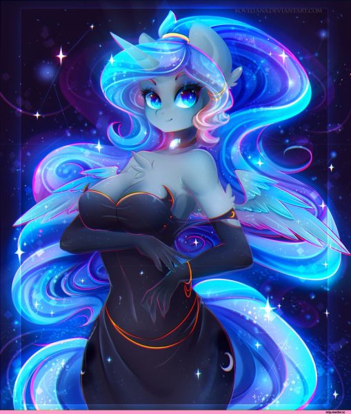 MLP koveliana