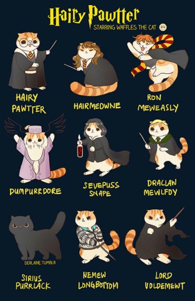 Pusheen Гарри Поттер