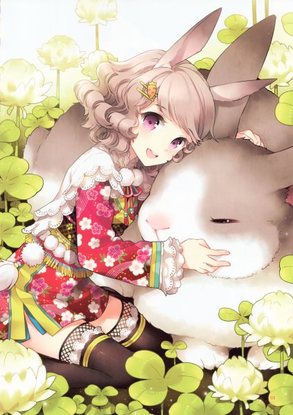 Аниме Nardack Butterfly Dream