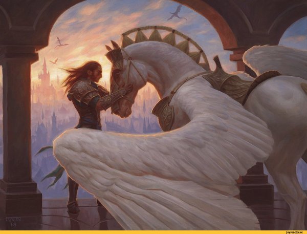 Chris Rahn