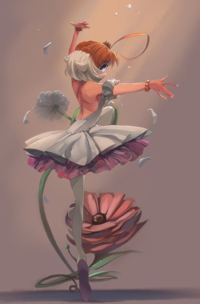 Принцесса тютю / Princess Tutu