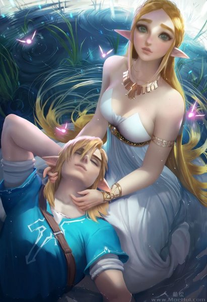 Сакимичан Zelda