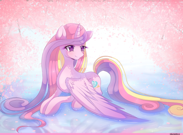 My little Pony принцесса Каденс аниме