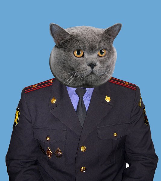 Форма УФСИН майор