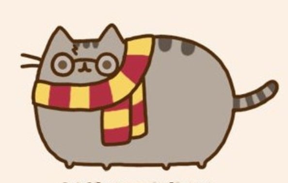 Pusheen Гарри Поттер