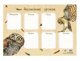 Арты расписание уроков гарри поттер (49 фото)