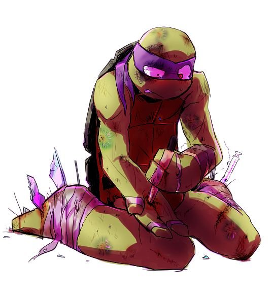 TMNT 2012 Donnie