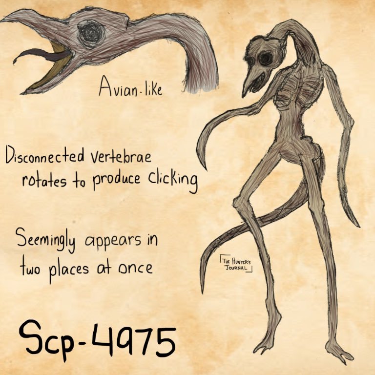  Scp 45 