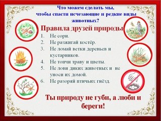 Арты правила друзей природы (47 фото)