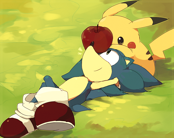 Pokémon Smash or Pass