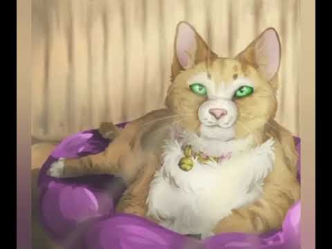 Коты Воители принцесса