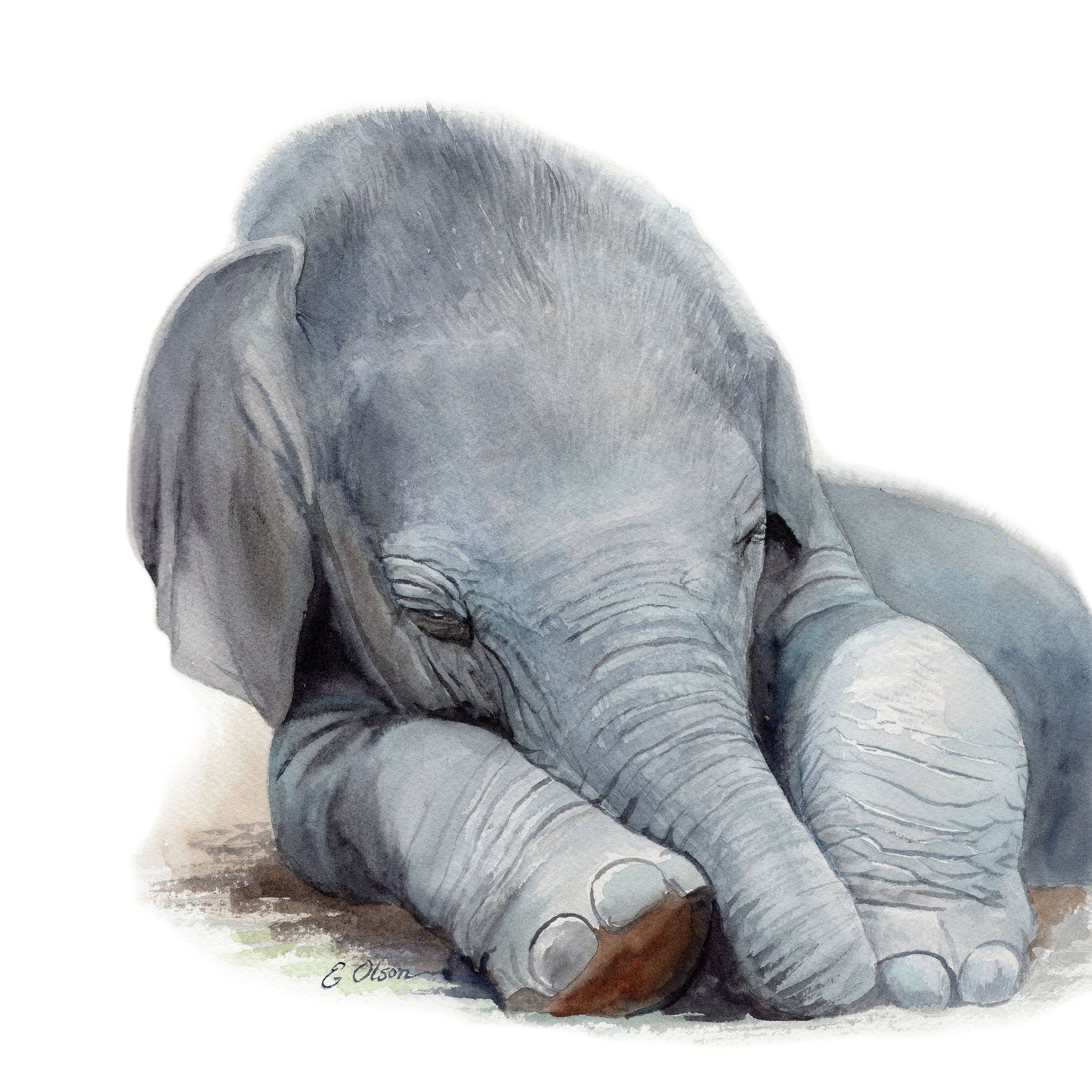 Мастер - класс «Текстильный слон». Часть 1. | Выкройки, Слон, Мастер-класс