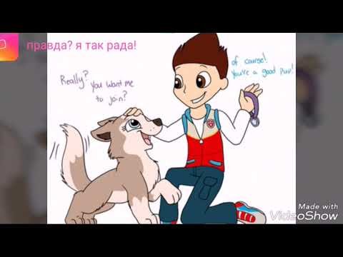 Райдер Щенячий патруль арты